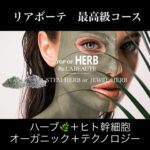 ハーブトリートメント